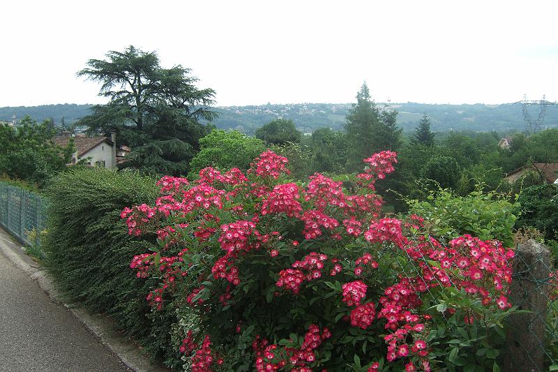 2011-05- (405).JPG